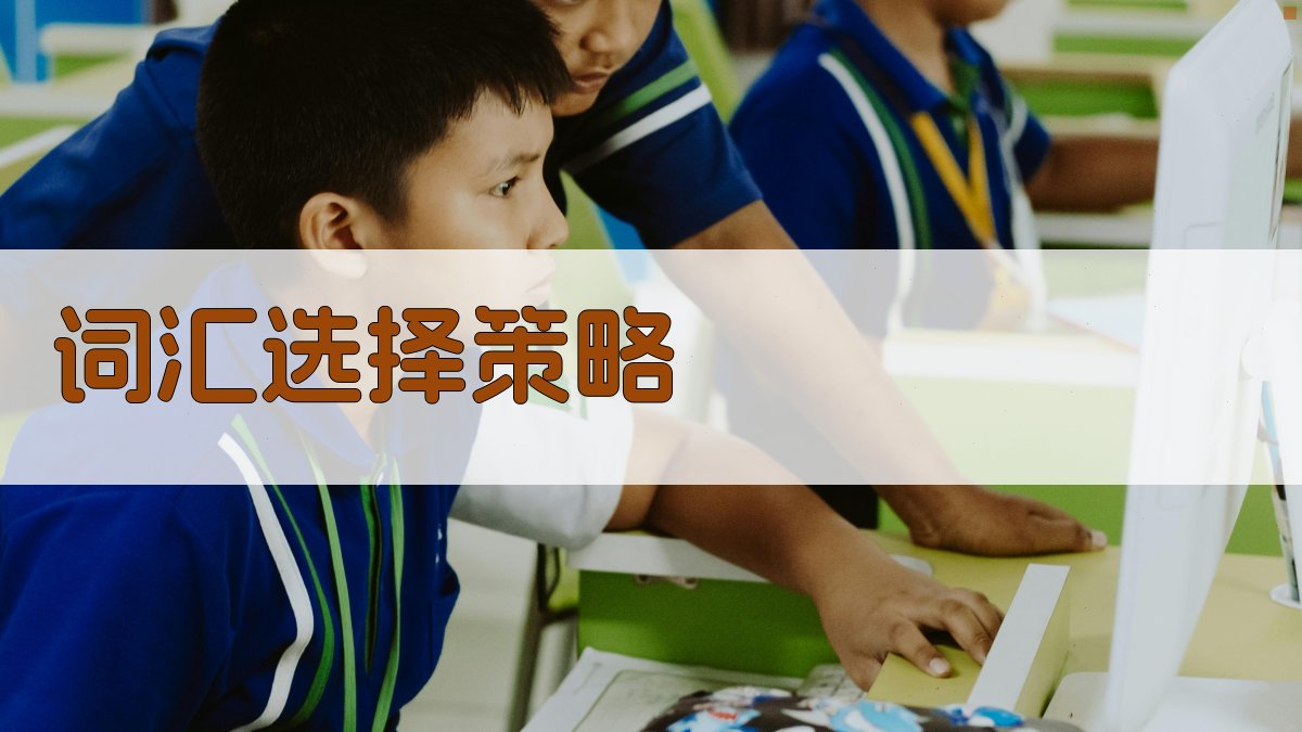 词汇选择策略 图2