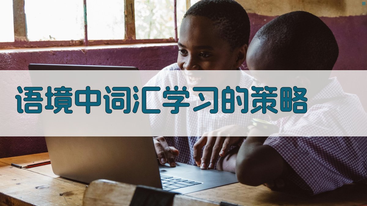 语境中词汇学习的策略 图2