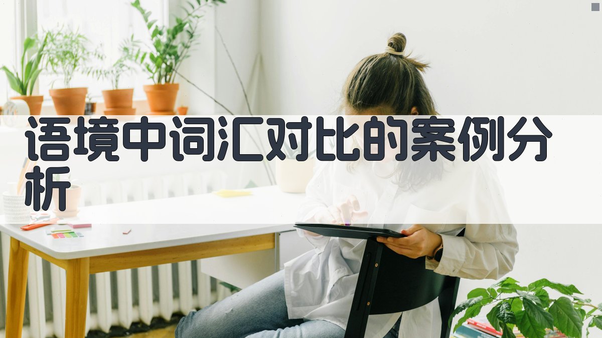 语境中词汇对比的案例分析 图3