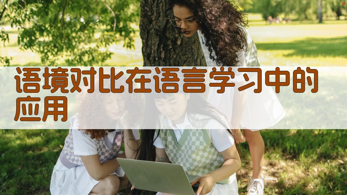 语境对比在语言学习中的应用 图3