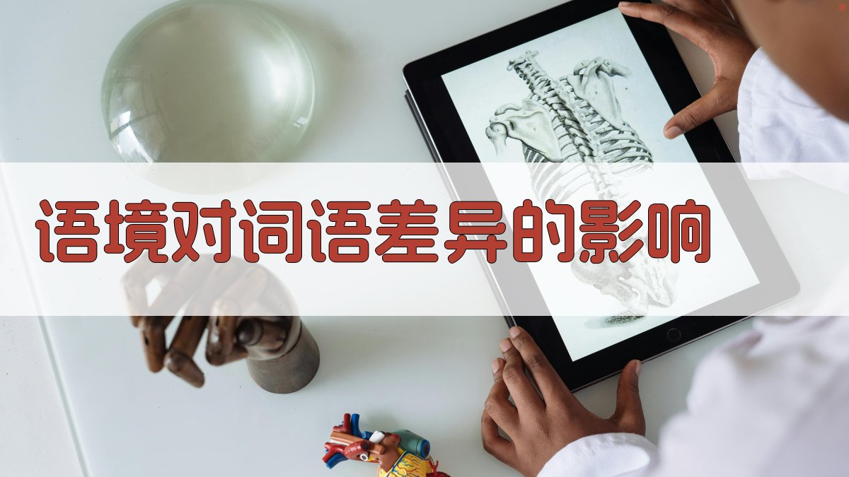 语境对词语差异的影响 图2