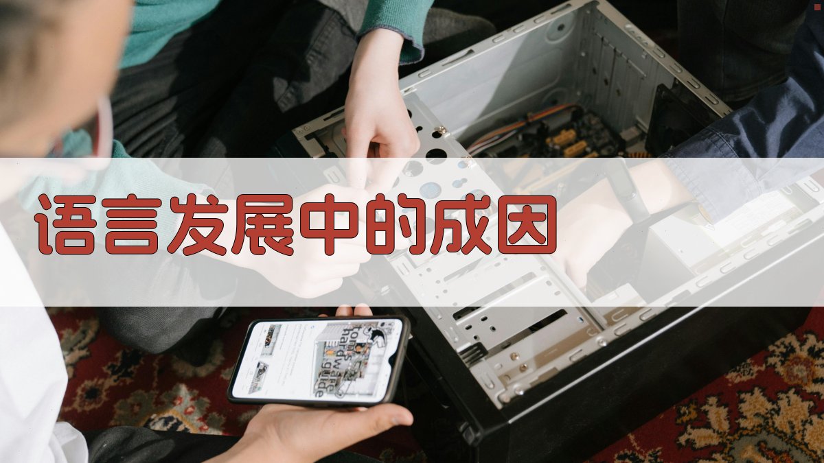 语言发展中的成因 图1