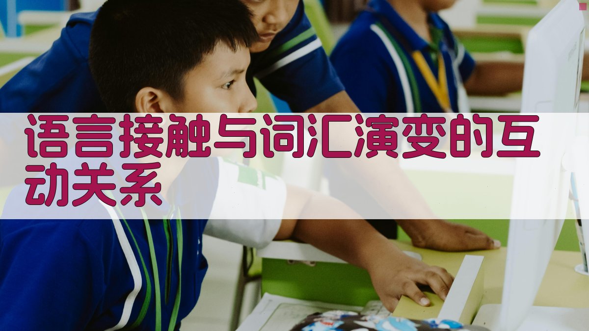 语言接触与词汇演变的互动关系 图2