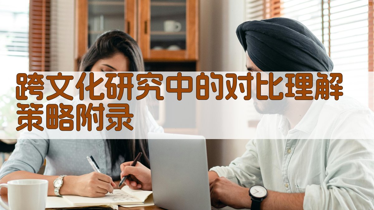 跨文化研究中的对比理解策略 · 附录 图3