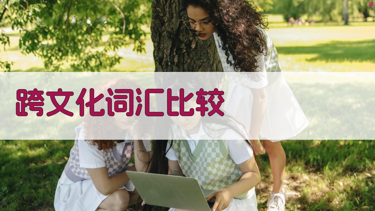 跨文化词汇比较 图3