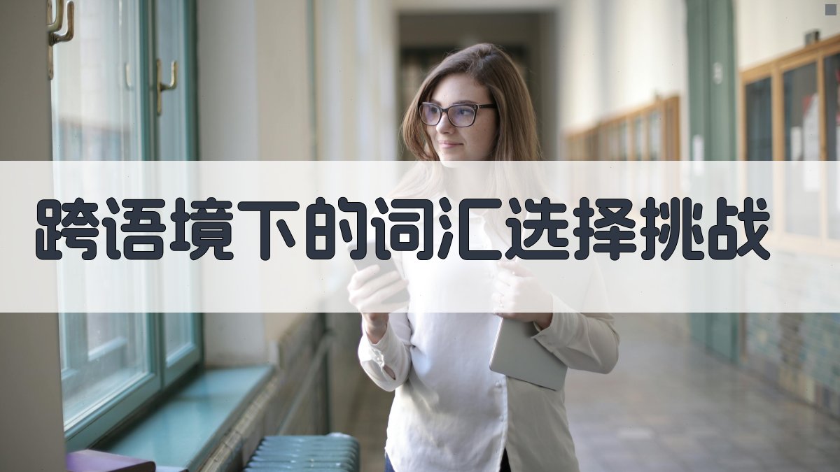 跨语境下的词汇选择挑战 图2