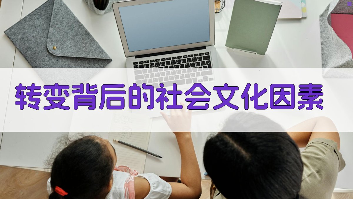 转变背后的社会文化因素 图4