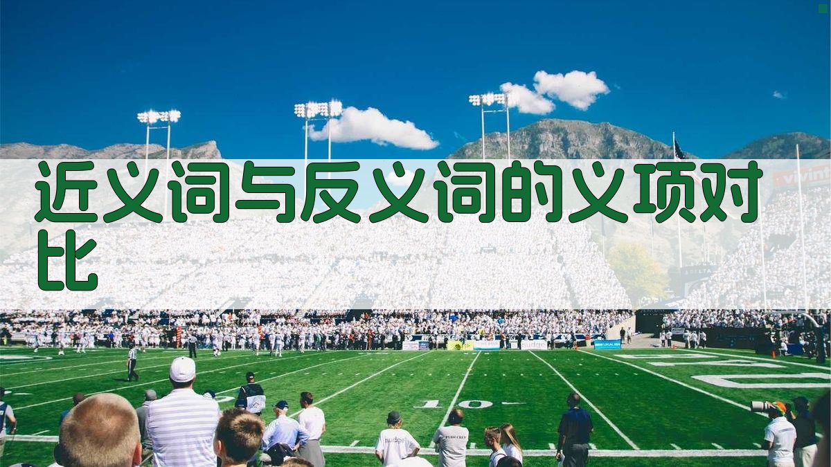 近义词与反义词的义项对比 图2