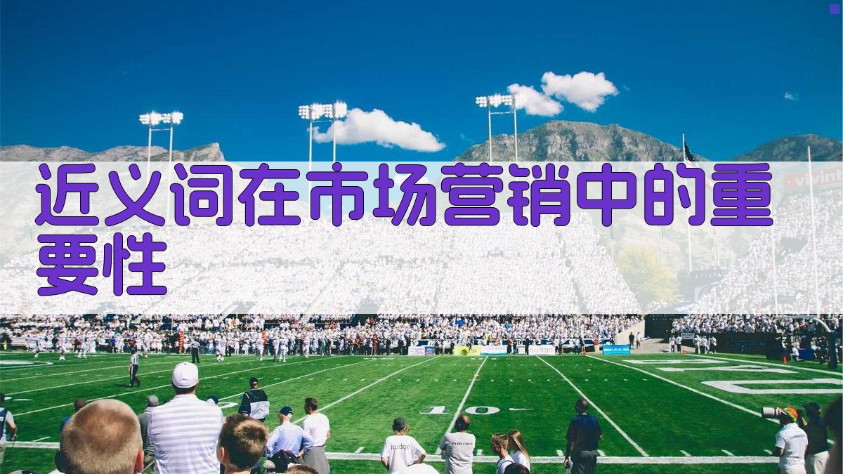 近义词在商业策略中的应用