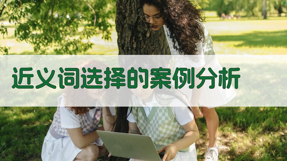 近义词选择的案例分析 图4