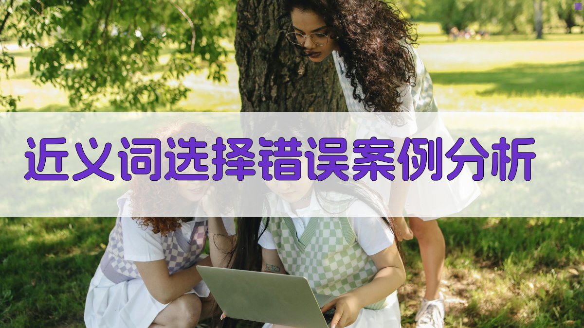 近义词选择错误案例分析 图4