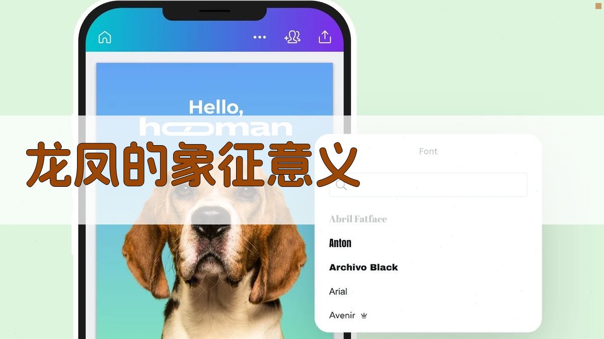 龙凤的象征意义 图2